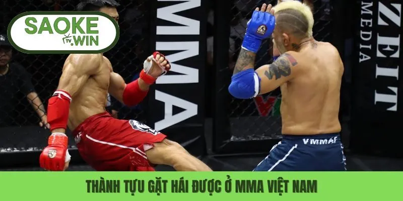 Thành tựu gặt hái được ở MMA Việt Nam